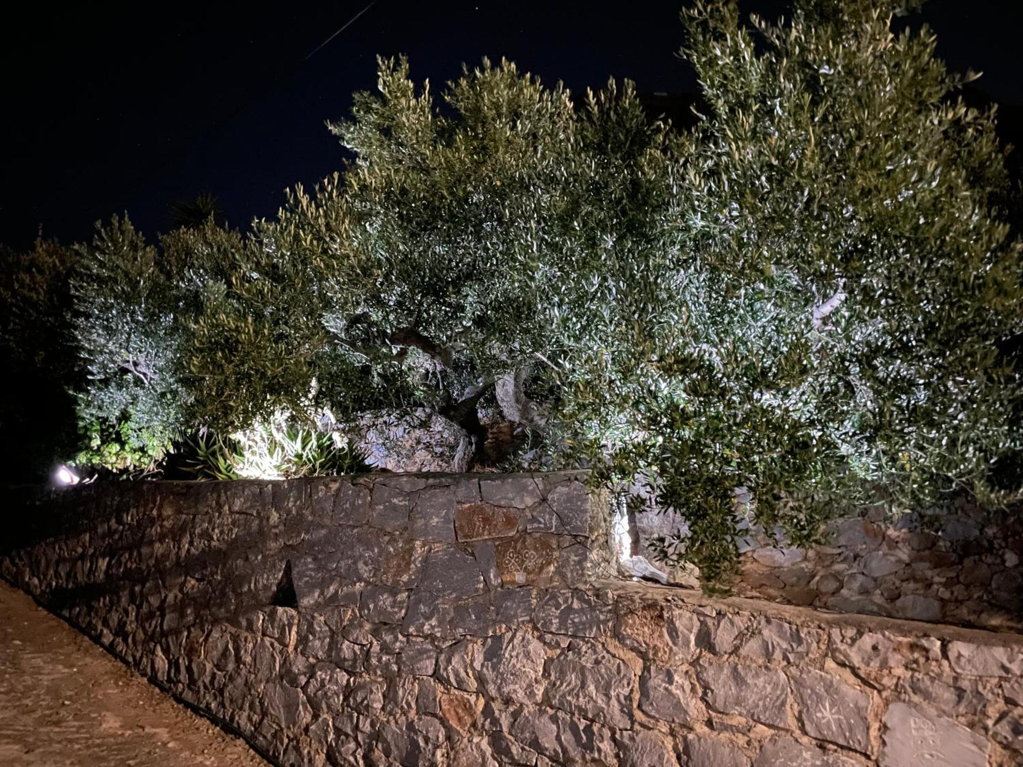 Villa Traditional Tower: Sea View Retreat Areopoli Exterior photo